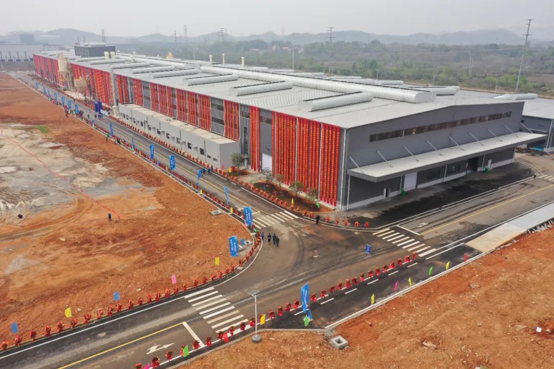 16802245896160648tac.jpg 1.jpg