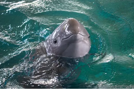 1713253332985435DqJr.png 94.png