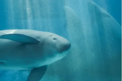 17132533734171205nXJ.png 96.png